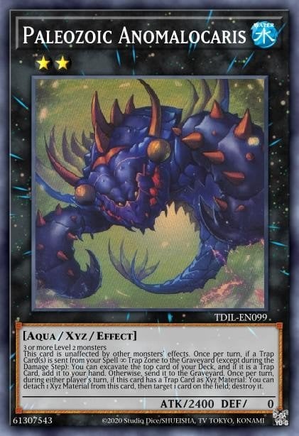 Burgesstoma Anomalocaris